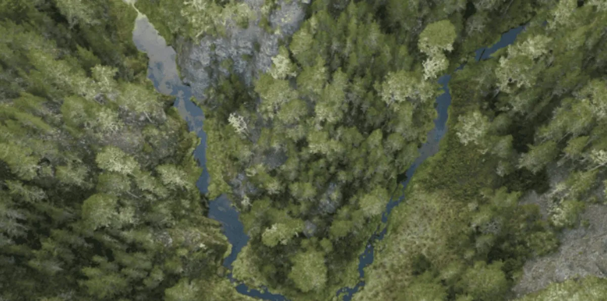 El Ejecutivo crea comisión para impulsar Observatorio de Políticas Ambientales