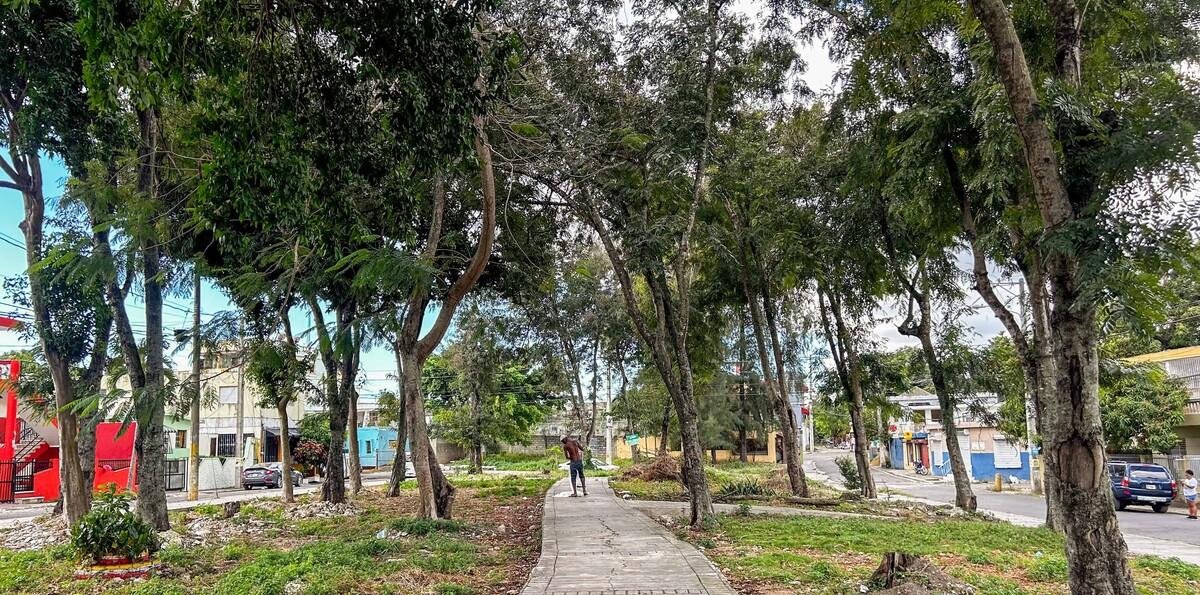 Parque de Villa Carmen: 40 años entre promesas y abandono