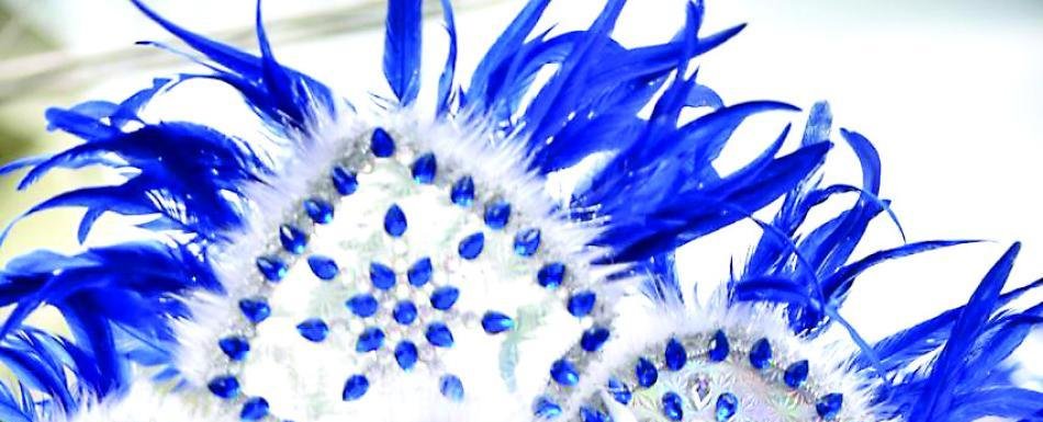¿Tiene planeado ir a alguna celebración de carnaval?