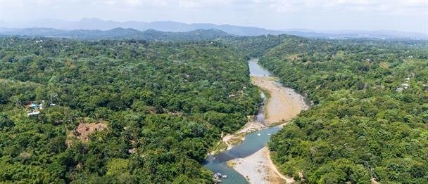 Estudios revelan colapso del río Haina y activan intervención ambiental