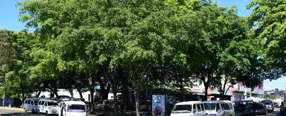 Choferes de diferentes rutas ocupan espacios de parques públicos