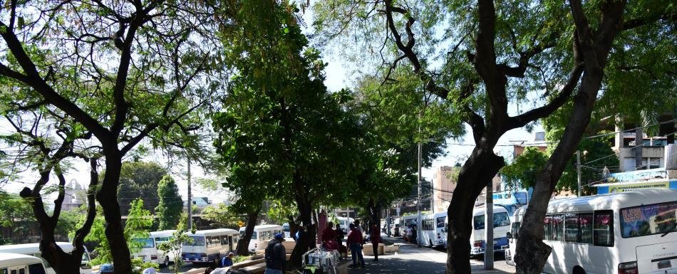 Persisten estacionamientos en entorno de parques en el Distito Nacional