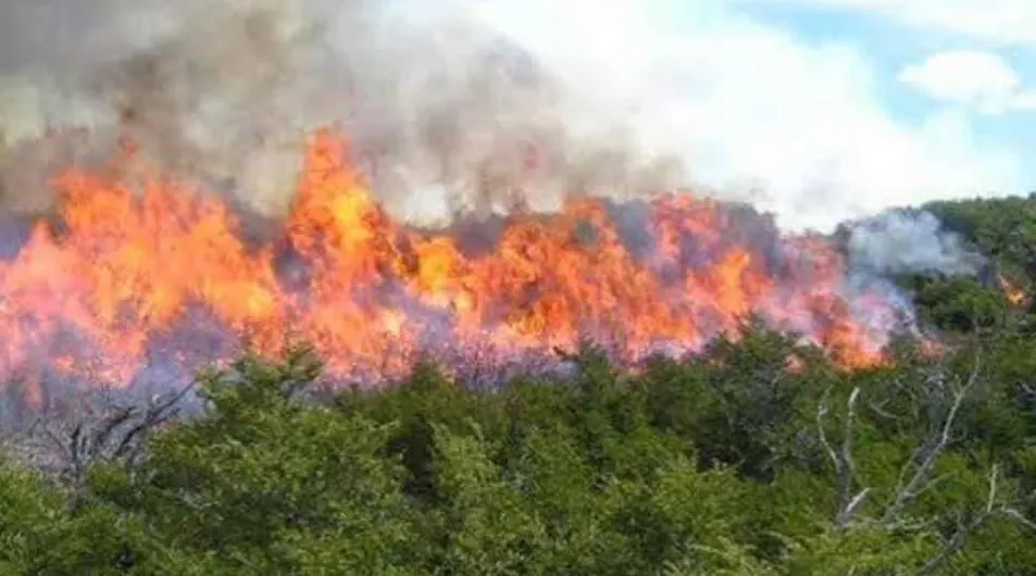 Se reactiva fuego Valle Nuevo, 70 brigadistas tratan sofocarlo