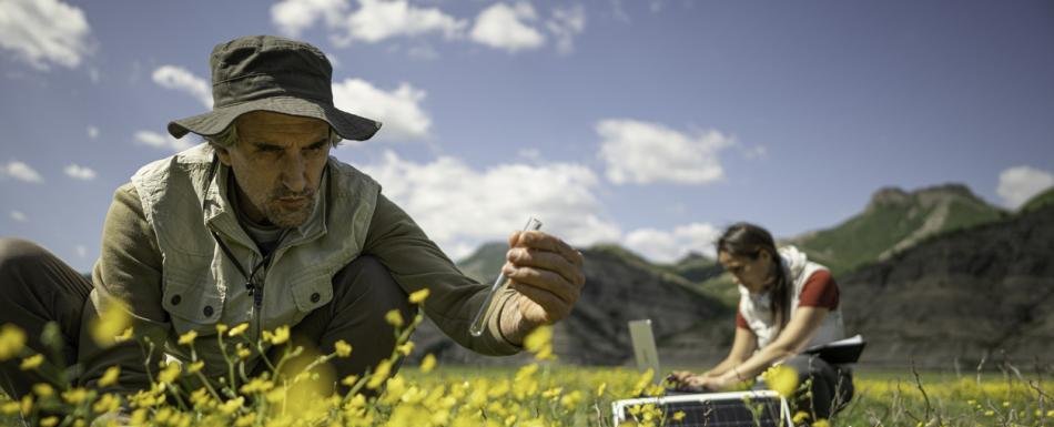 Pérdida de biodiversidad supone un riesgo para la economía