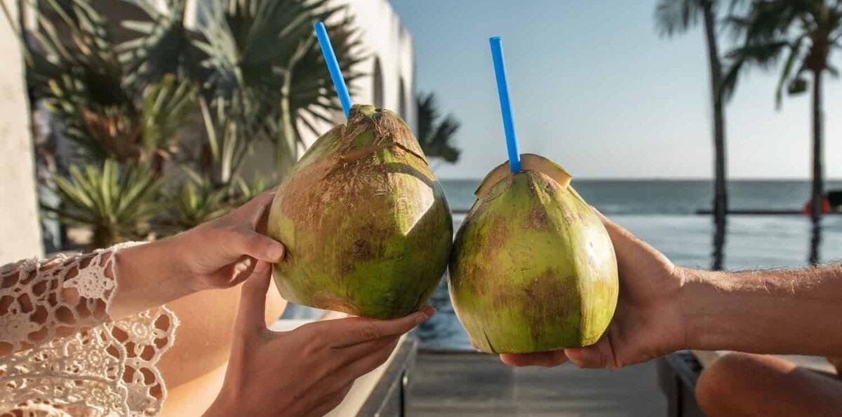 Bebidas con sabor e identidad dominicana