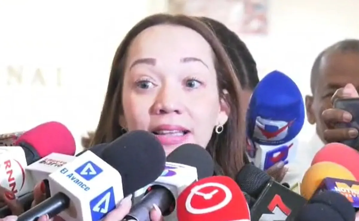 Participación Ciudadana: “Uno de los desafíos en la lucha contra la corrupción es lo que pasa en los tribunales”