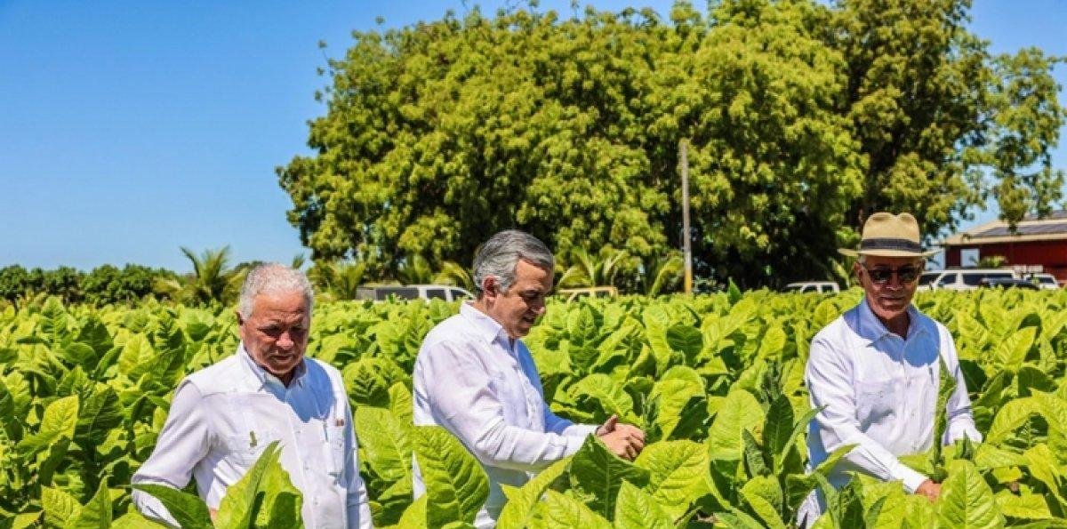 Exportaciones suben US$9.2 MM en 2025