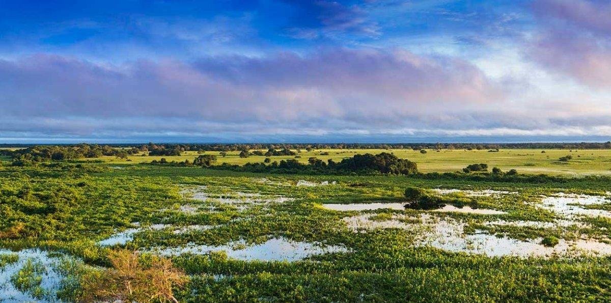 Este lunes se celebra el Día Mundial de los Humedales