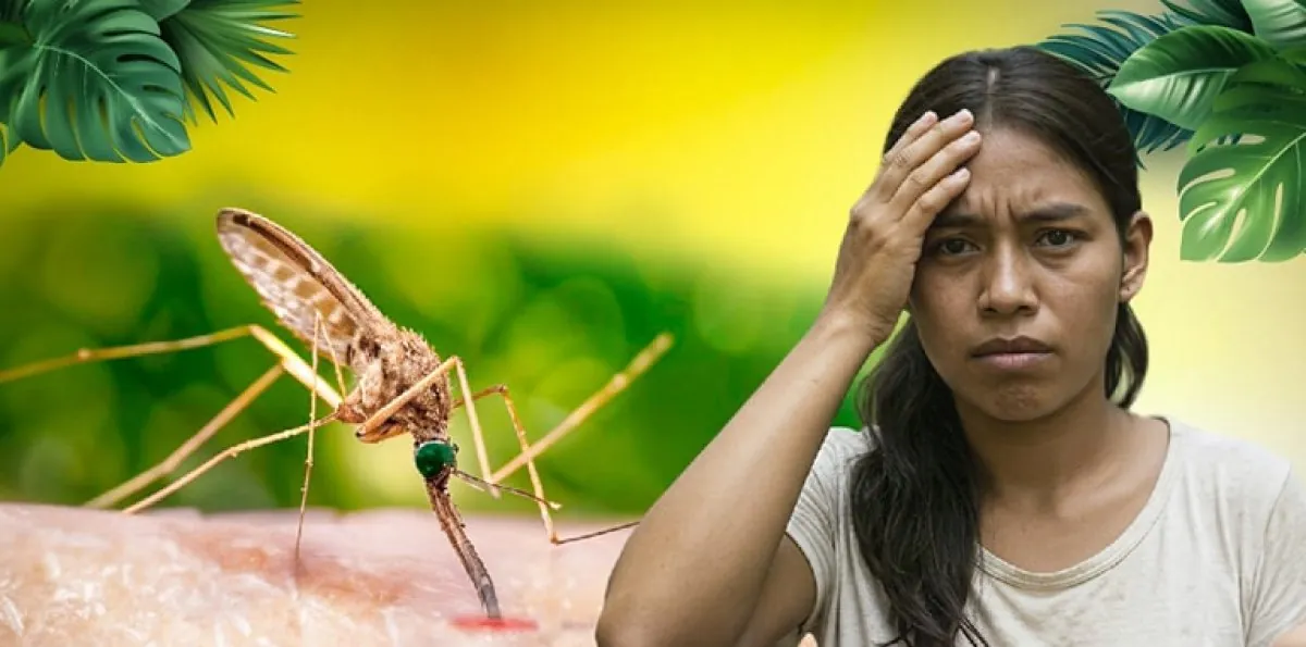 Dengue y otras enfermedades bajo vigilancia: Así anda República Dominicana