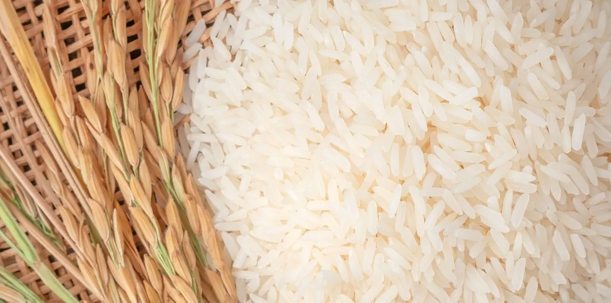 Decomisan arroz, leche y sardinas dañadas, entre otros productos, en supermercados, colmados y almacenes