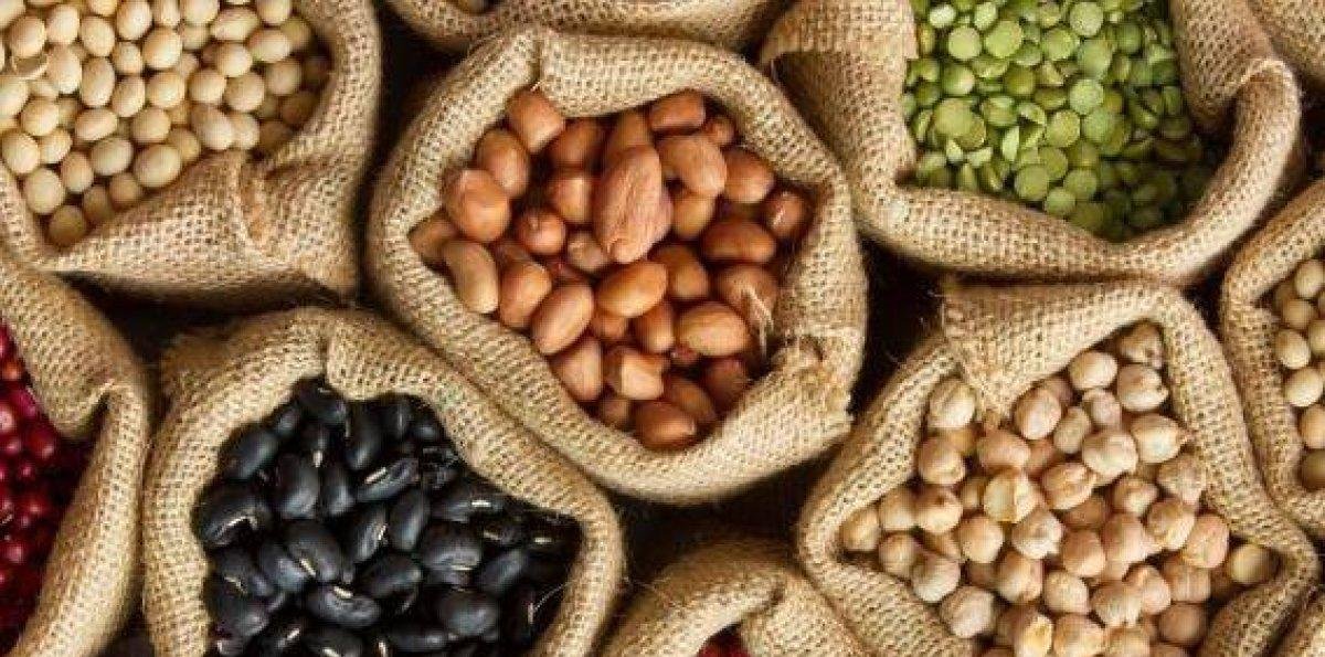 Legumbres: pequeñas, poderosas y esenciales en nuestra mesa