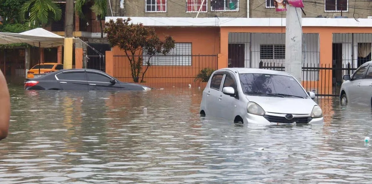 No las necesitamos