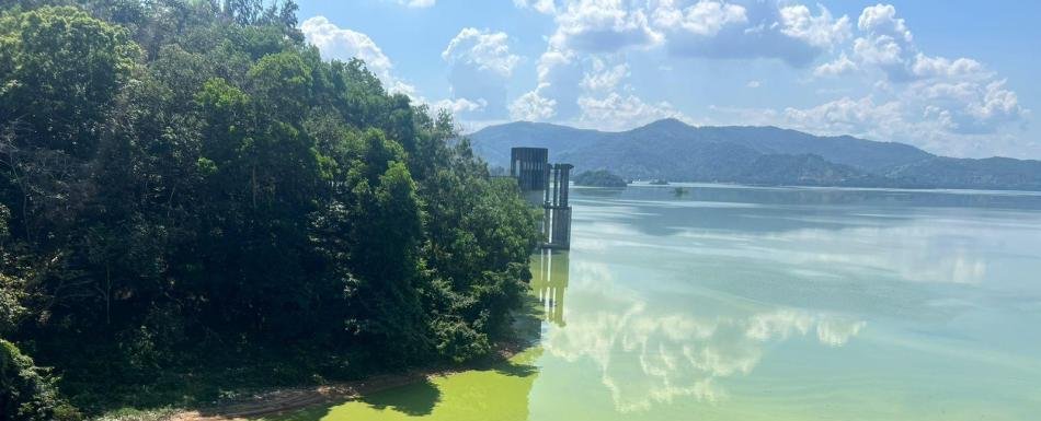 Contaminación en la Presa de Hatillo extingue pesca en Cotuí