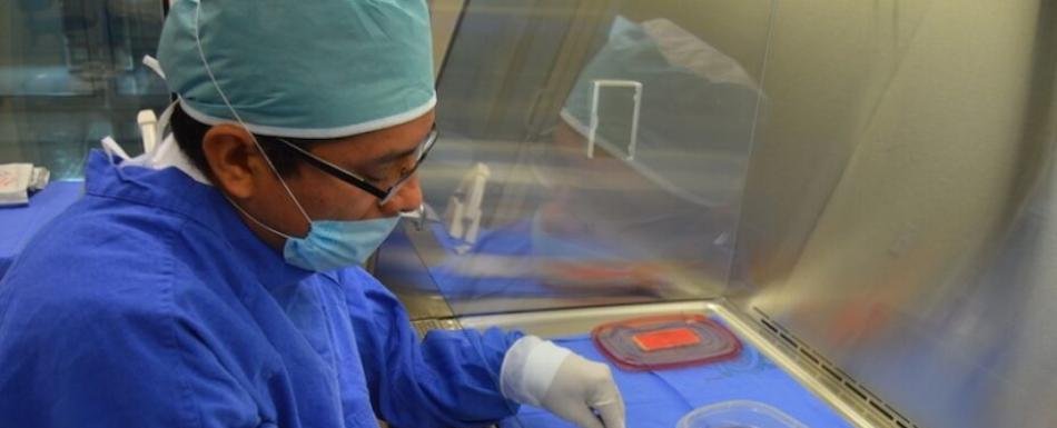 Buscan activar banco de piel en hospital Arturo Grullón