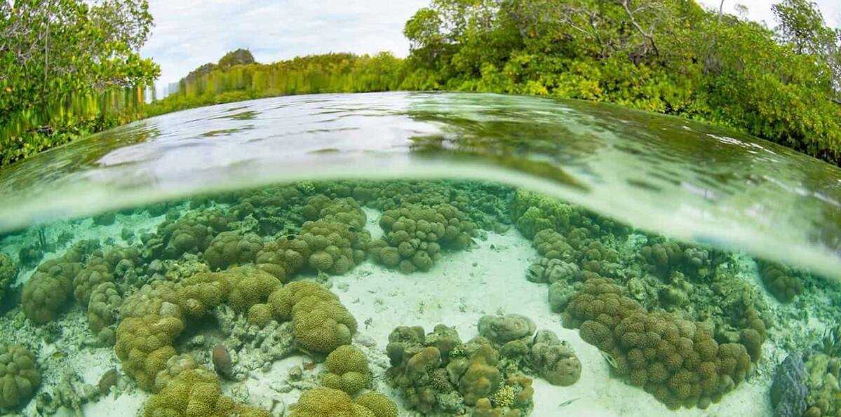 El falso conflicto entre áreas protegidas y propiedad privada