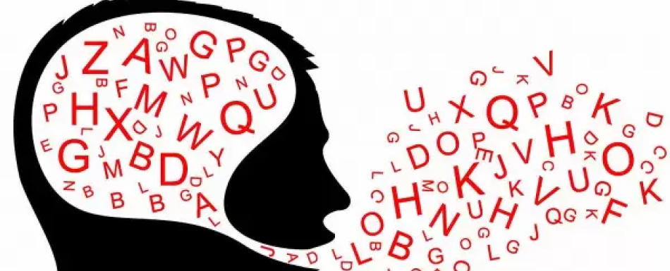 Cuando la lengua hiere: construir puentes o levantar muros