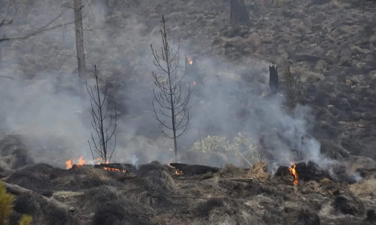 Brigadas luchan contra fuego en el Parque Nacional Valle Nuevo