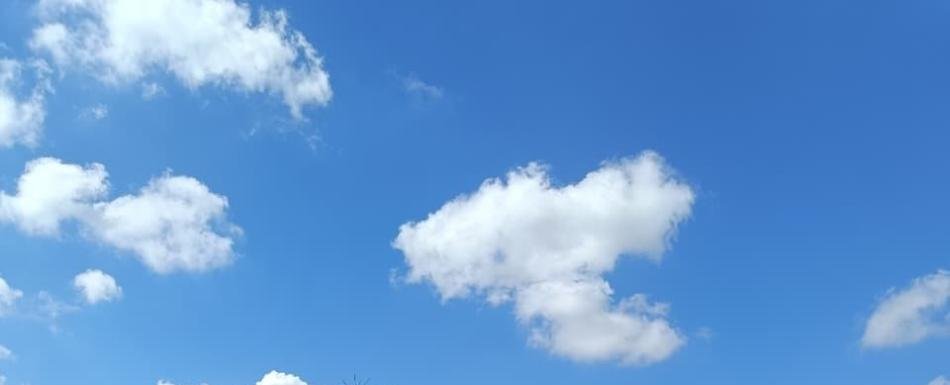 ¿Qué pasa en los cementerios de Santo Domingo?