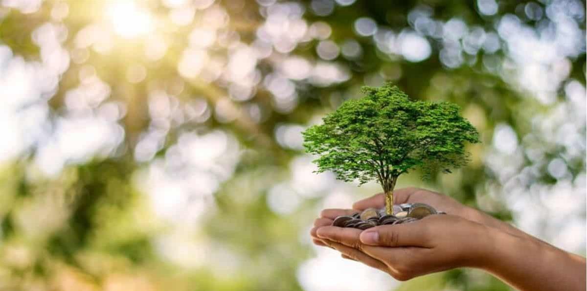 Silencio administrativo: el costo invisible de la demora ambiental